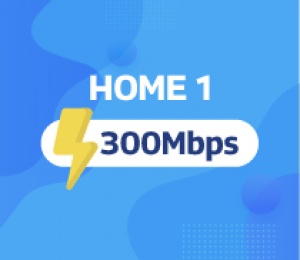 HOME 1 (Mesh)