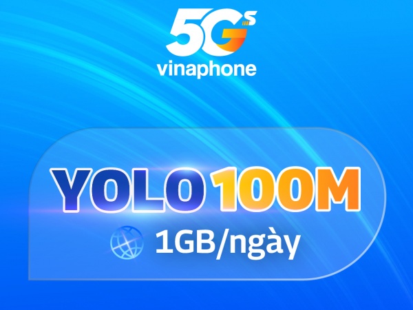 YOLO 100M