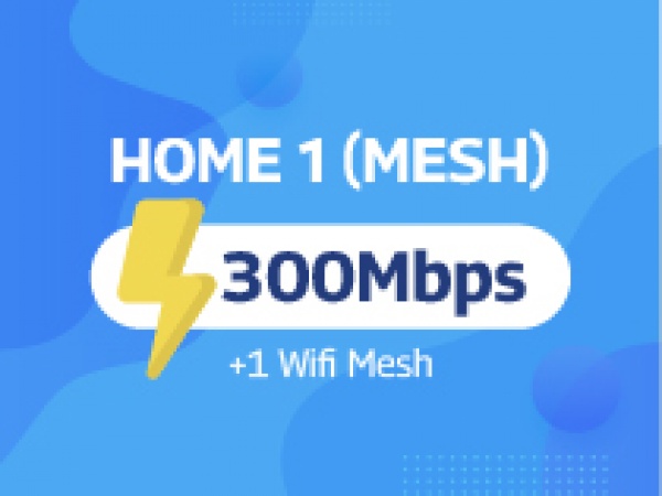 HOME 1 MESH